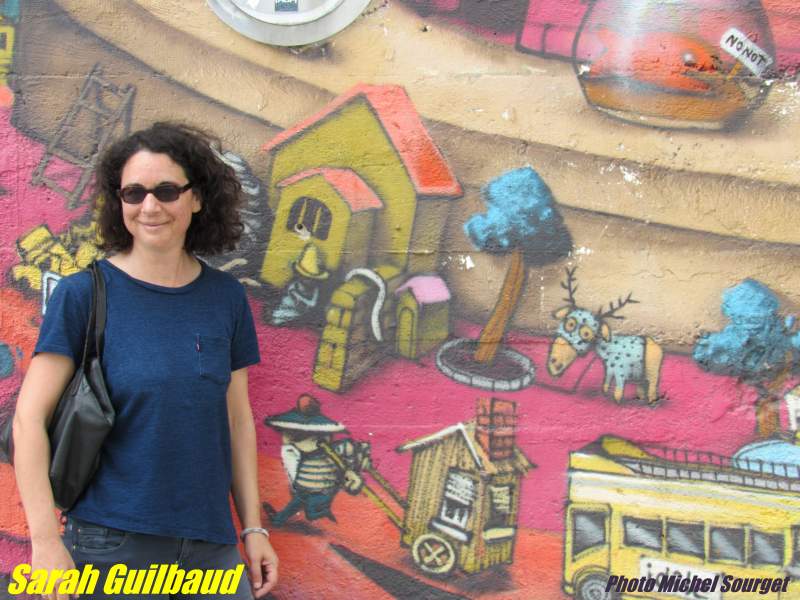 sarah guilbaud, street art, graffiti, balades, balades à nantes, balades street art, alternantes, michel sourget, marche